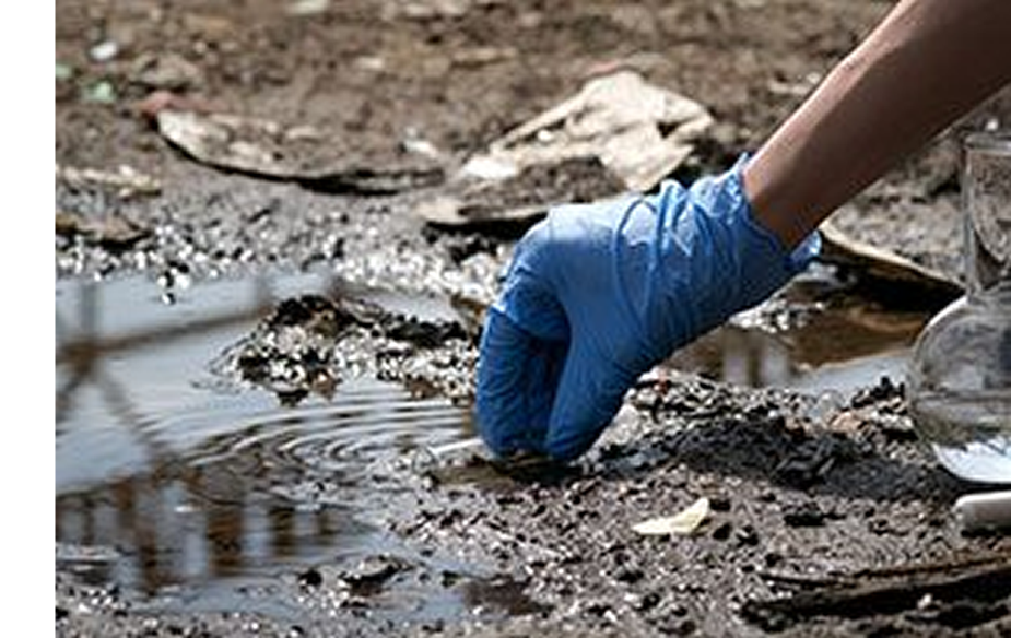 Heavy Metals Testing