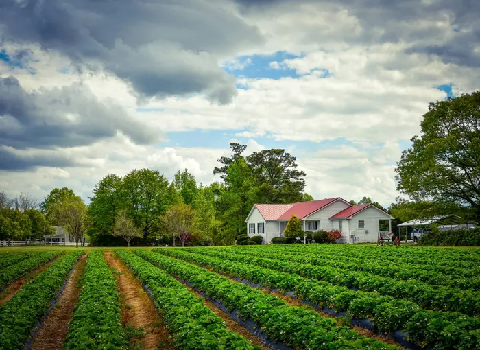 A country home and a green field